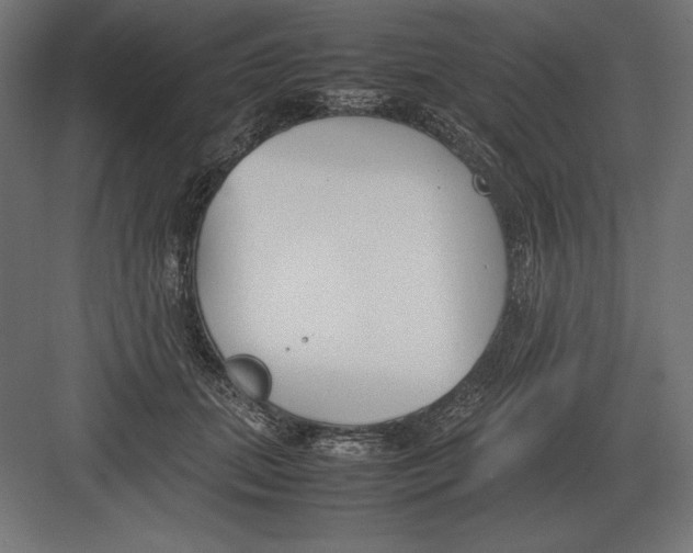 X0000082150655200702092152