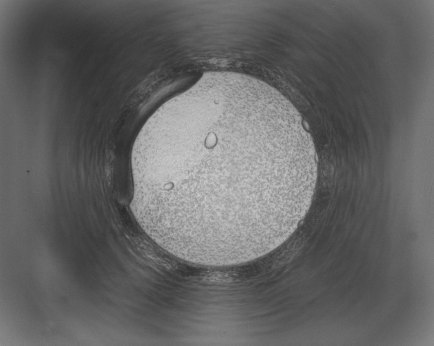 X0000082150656200702092152