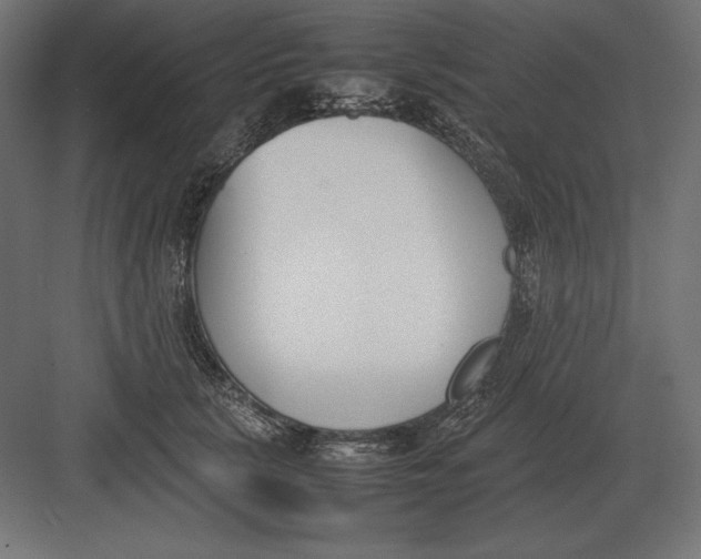 X0000082150657200702092152