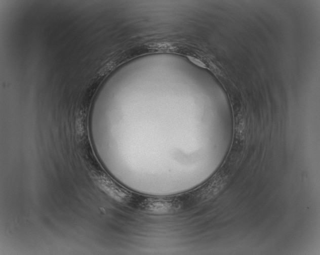 X0000082150658200702092152