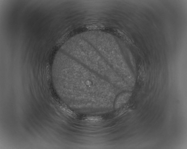 X0000082150659200702092152