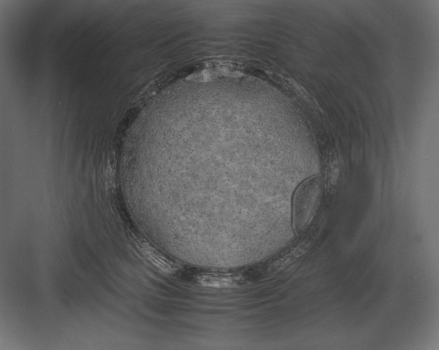 X0000082150661200702092152