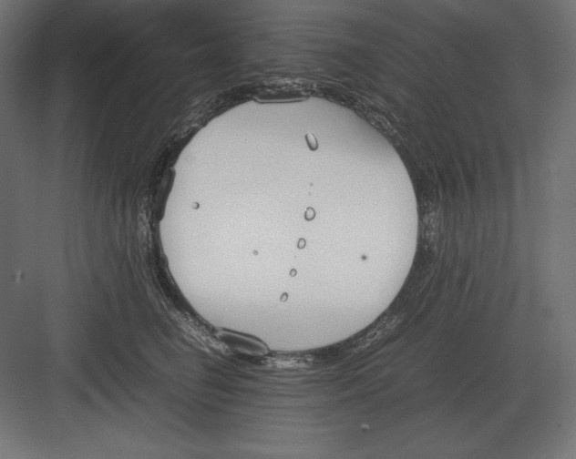 X0000082150662200702092152