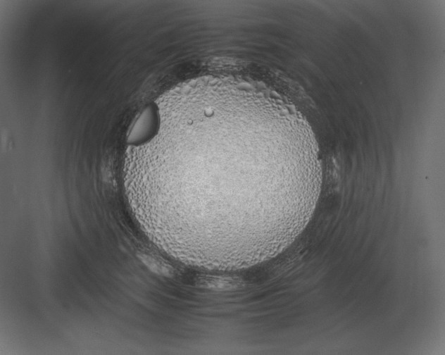 X0000082150663200702092152