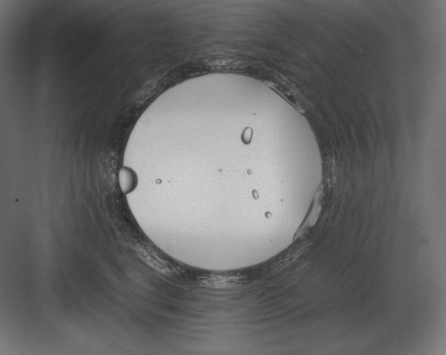 X0000082150664200702092152