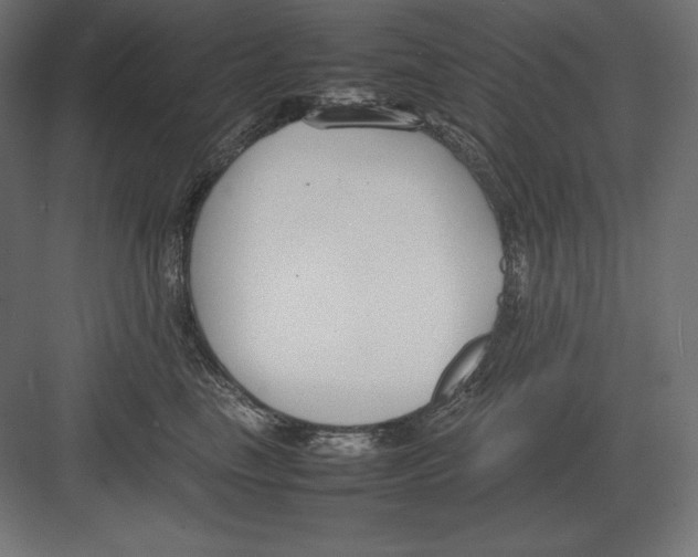 X0000082150665200702092152