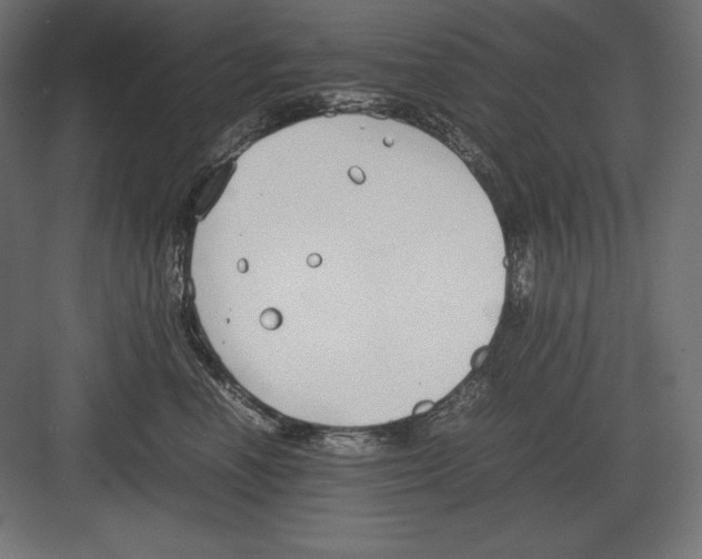 X0000082150666200702092152