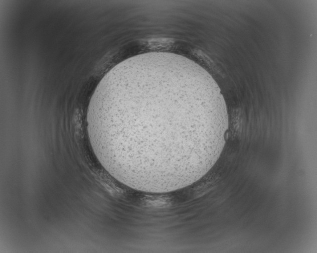 X0000082150667200702092152