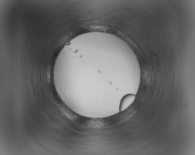 X0000082150668200702092152