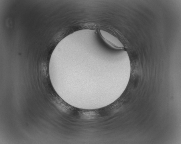 X0000082150669200702092152