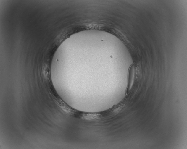 X0000082150671200702092152