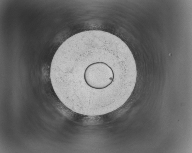 X0000082150672200702092152