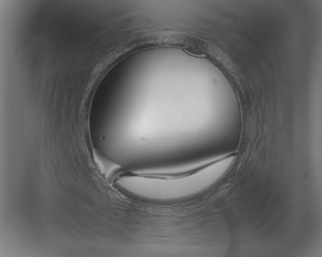 X0000082150673200702092152