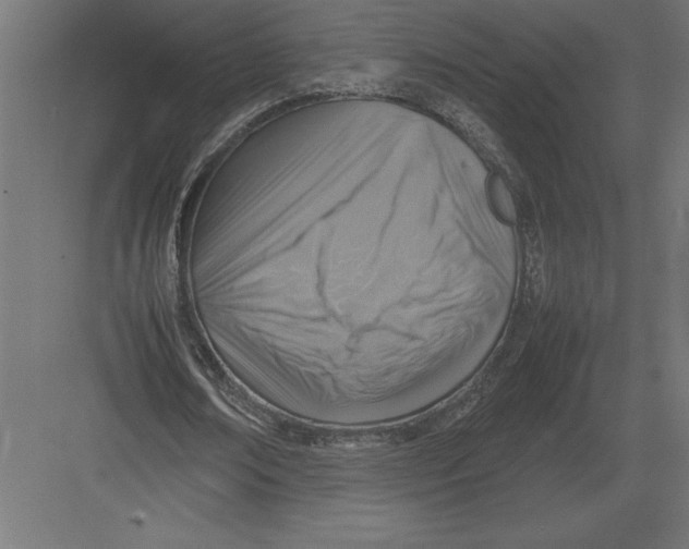 X0000082150674200702092152