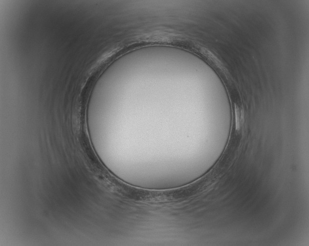 X0000082150675200702092152