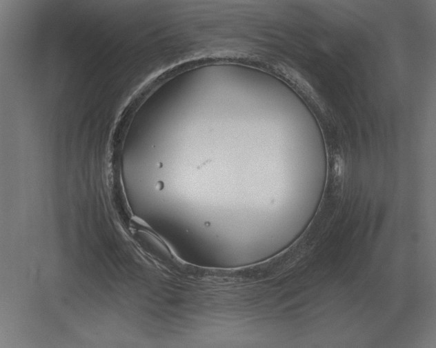 X0000082150676200702092152