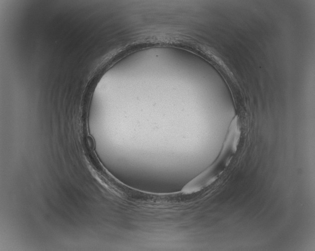 X0000082150677200702092152