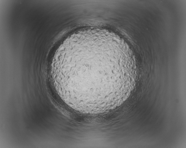 X0000082150679200702092152