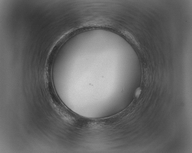 X0000082150680200702092152