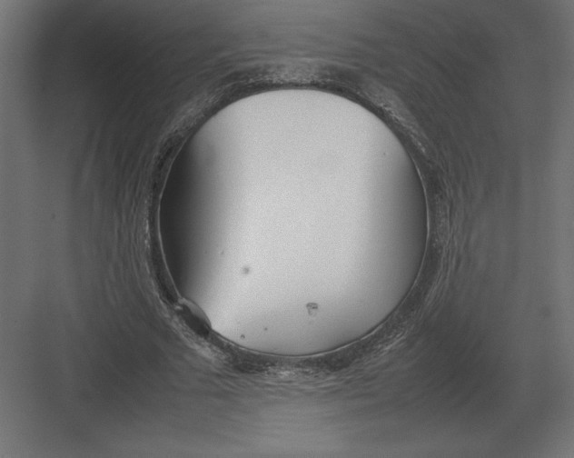 X0000082150681200702092152