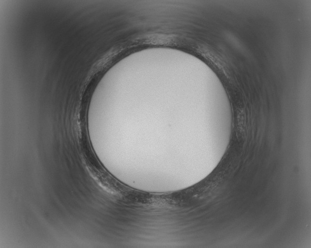 X0000082150682200702092151