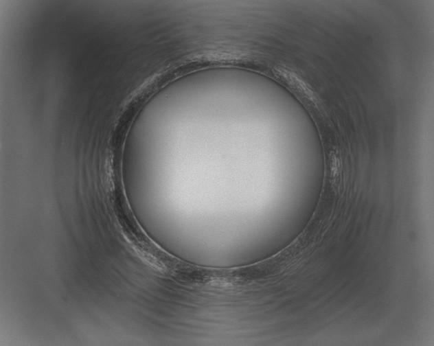 X0000082150684200702092151