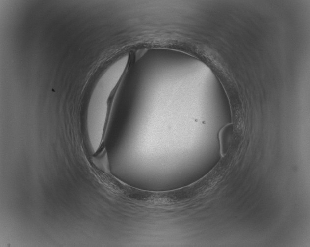 X0000082150685200702092151