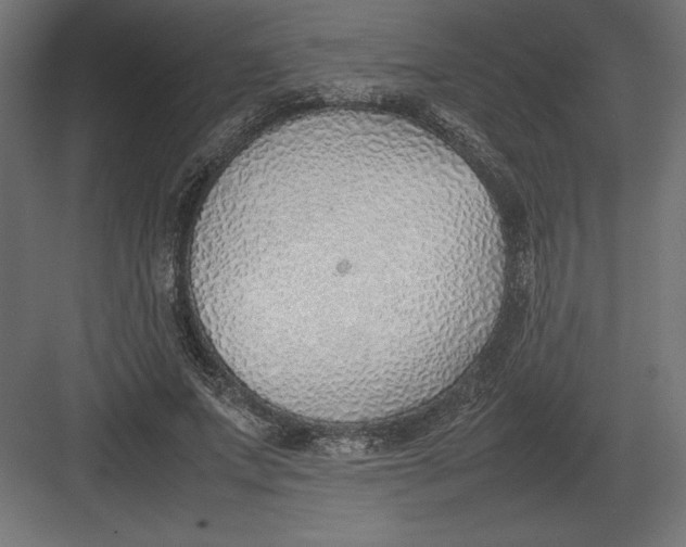 X0000082150687200702092151