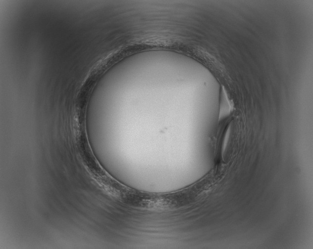 X0000082150688200702092151