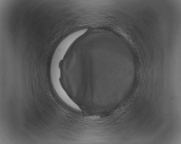 X0000082150689200702092151