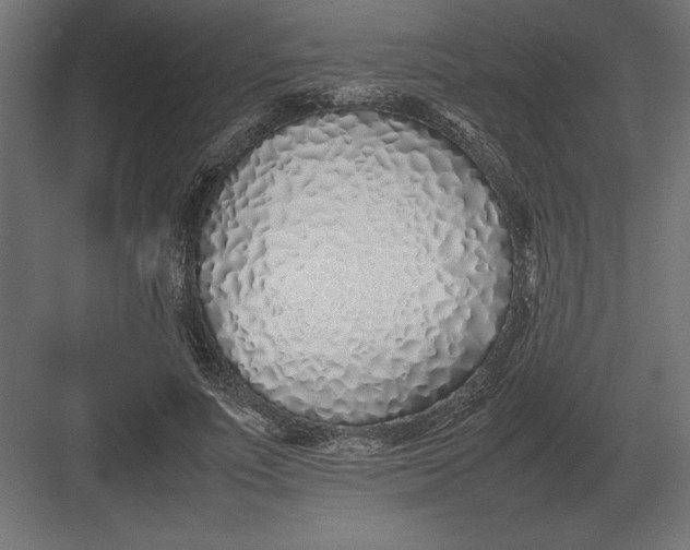 X0000082150691200702092151