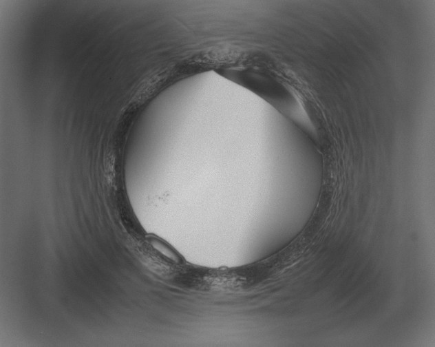 X0000082150693200702092151