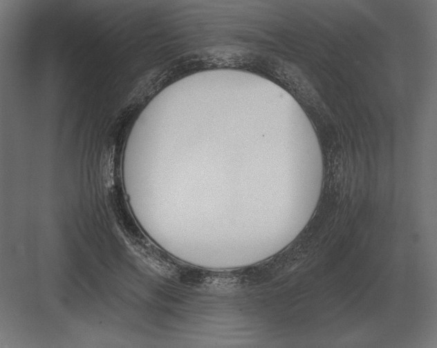 X0000082150694200702092151