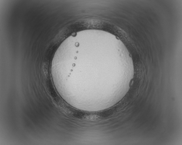 X0000082150695200702092151