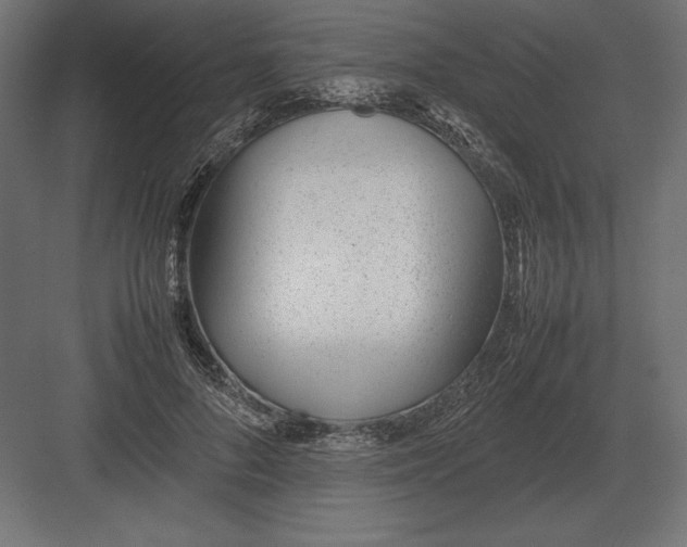 X0000082150696200702092151