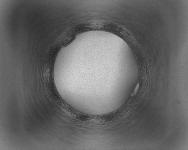 X0000082150697200702092151