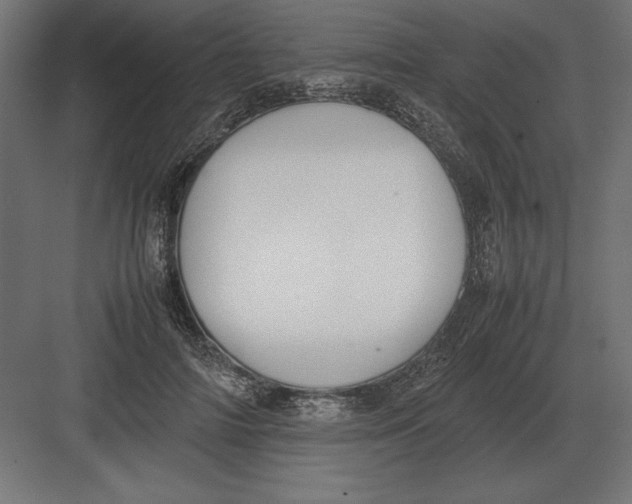 X0000082150698200702092151