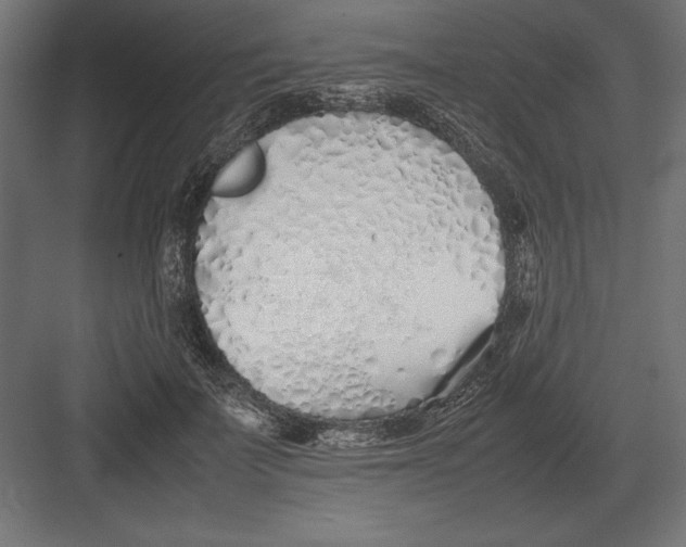 X0000082150699200702092151