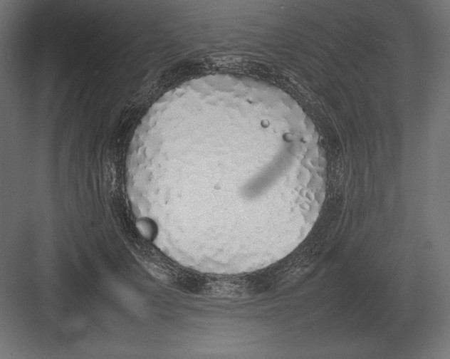 X0000082150703200702092151