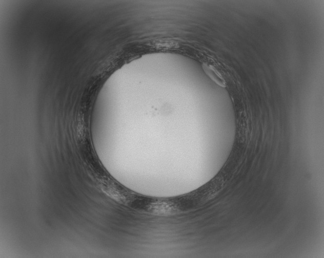 X0000082150704200702092151