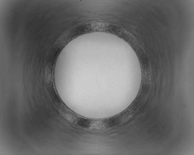 X0000082150705200702092151