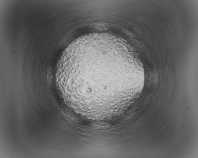 X0000082150707200702092151