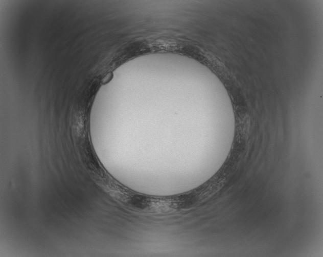 X0000082150709200702092151