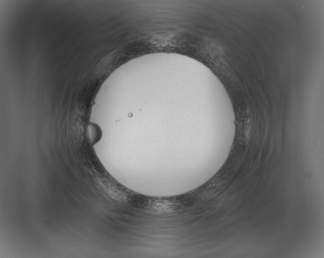 X0000082150710200702092151