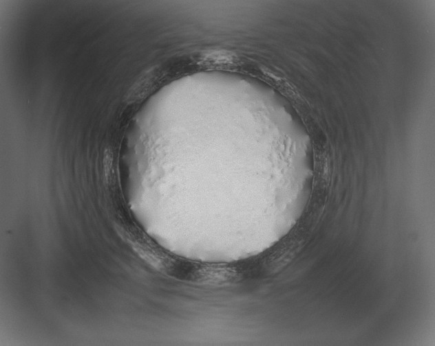 X0000082150711200702092151