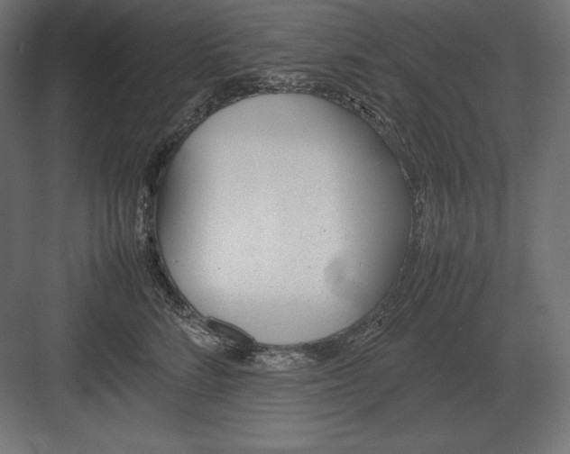 X0000082150712200702092151