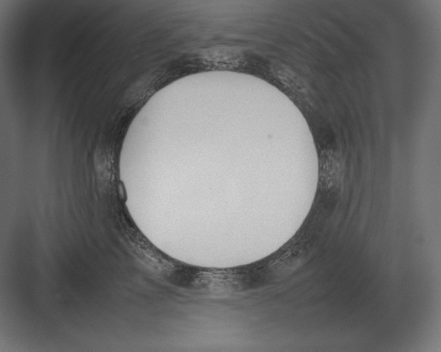 X0000082150713200702092151