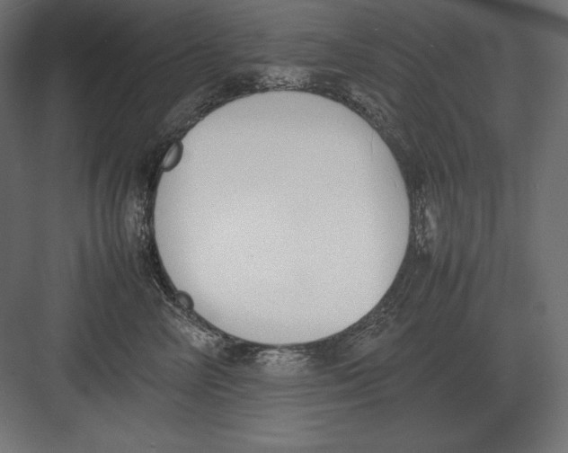 X0000082150714200702092151