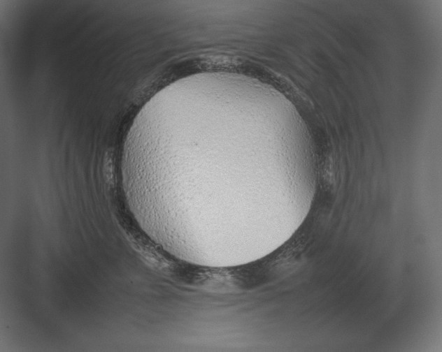 X0000082150715200702092151