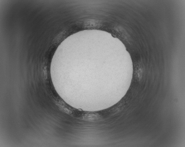 X0000082150716200702092151